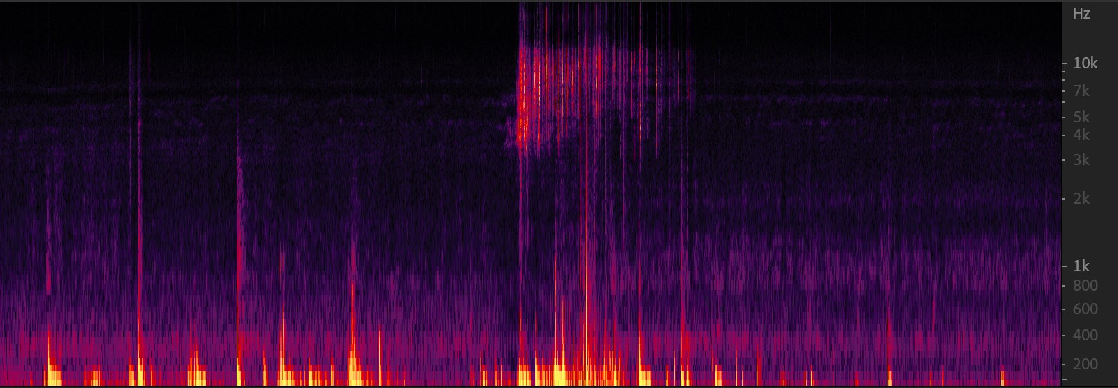 Passive Acoustic Monitoring workflow and analysis
